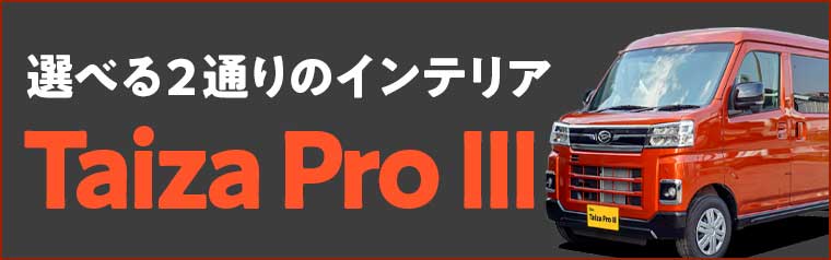 タイザ プロⅢ