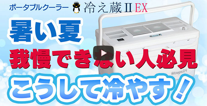 【専用】ポータブルクーラー 冷え蔵 Ⅱ EX Stage21　冷え蔵ⅡEX