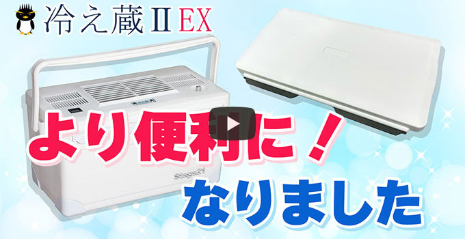 在庫最新作ポータブルクーラー　冷え蔵Ⅱ　オプション付 クーラーボックス・保冷剤