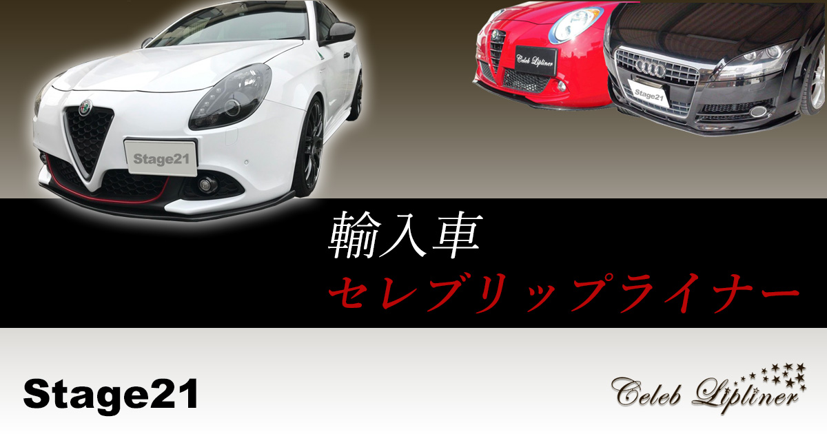 F30 F31 Stage21フロントリップ　セレブリップライナー　カーボン BMW・F30/F31・3シリーズ】 3A20/3B20/3F30・Mスポーツ・2012/9～2015